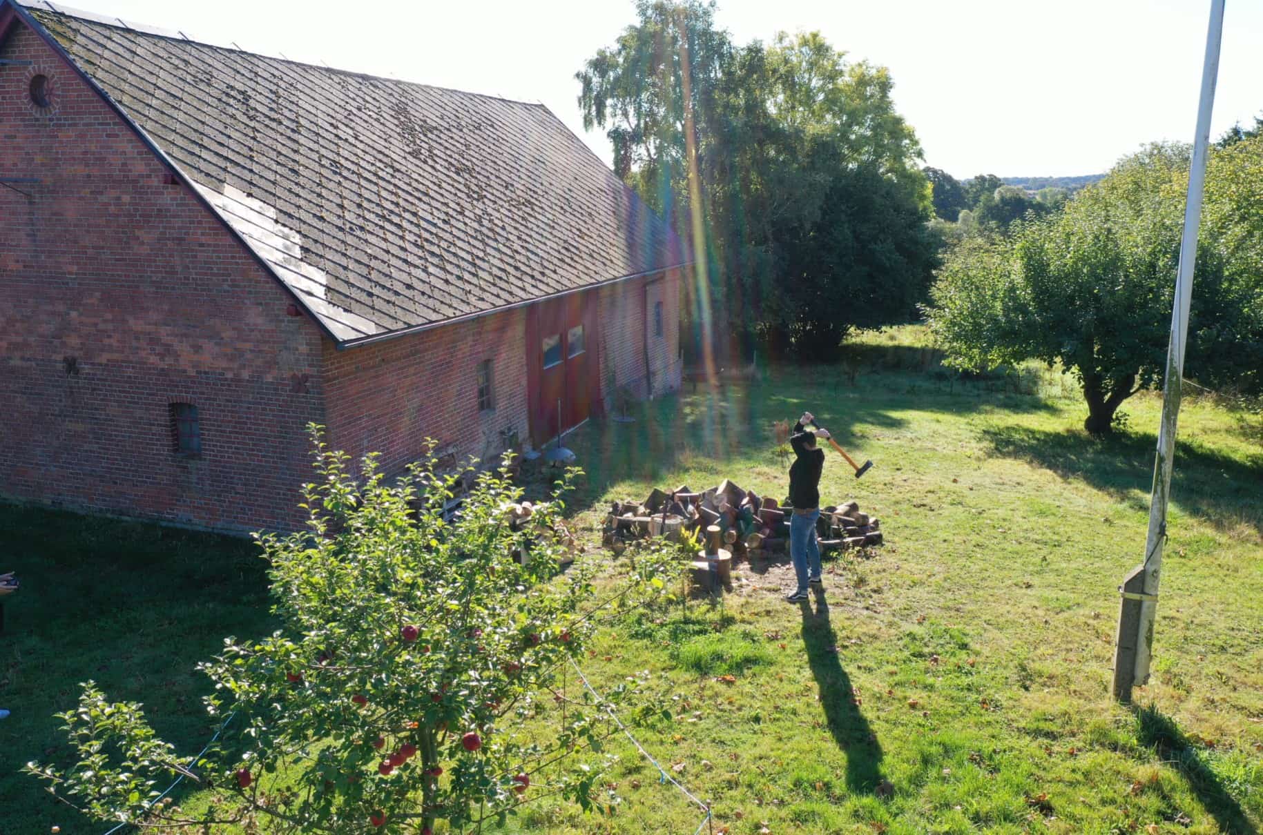 Mand hugger brænde på sin landejendom