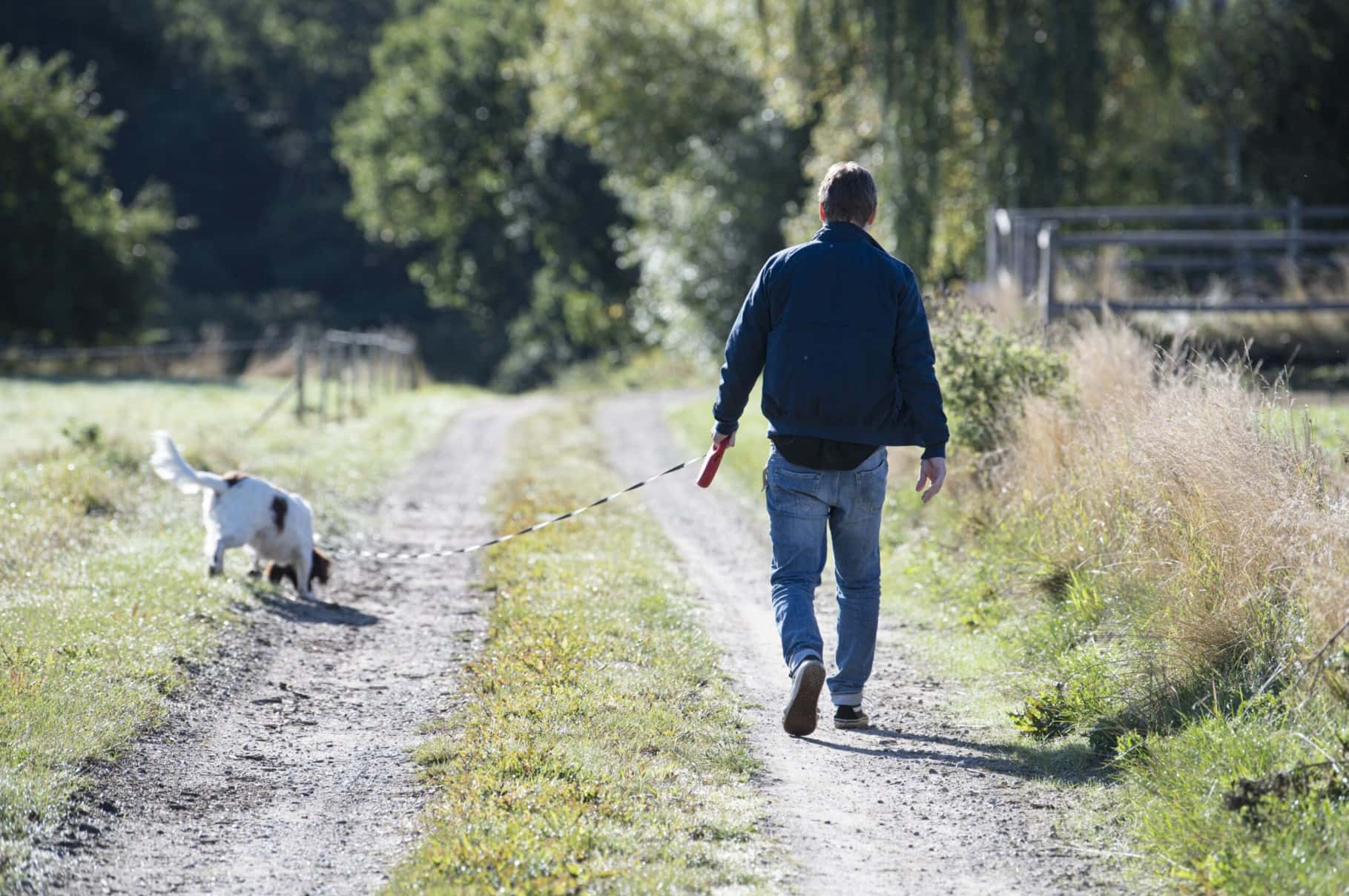 Mand går tur med sin hund på lang markvej