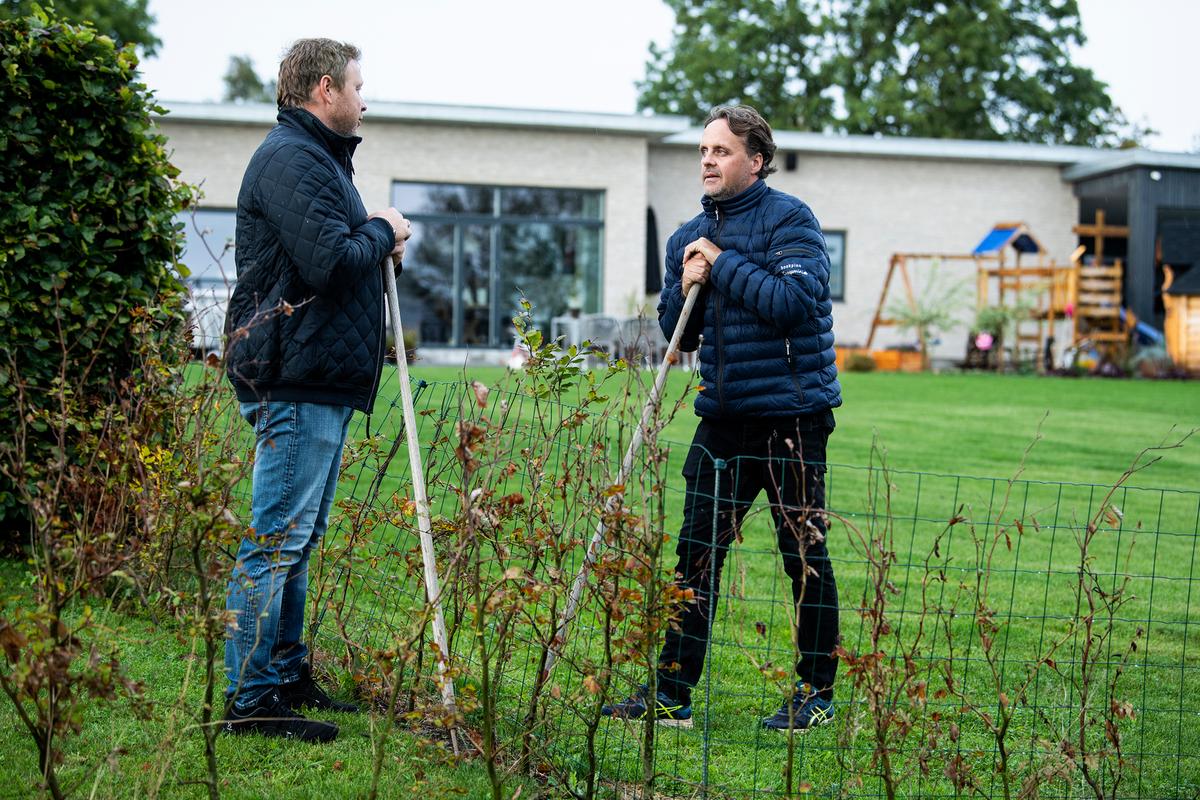 To naboer taler over hækken